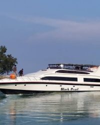 umarpulautidung.com (7)