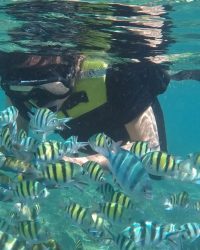 umarpulautidung.com (9)